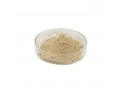 food-additive-ready-stock-cas-142606-53-9-corn-peptide-99-small-0