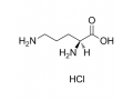 amino-acids-and-derivatives-l-ornithine-hydrochloride-cas-no-3184-13-2-small-0