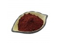 supply-povidone-iodine-powder-cas25655-41-8-povidone-iodine-small-0