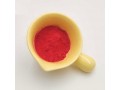 china-factory-supply-99-purity-cas-12270-25-6-basic-red-51-powder-with-door-to-door-shipping-small-0