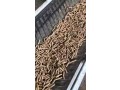 high-quality-biomass-wood-pellets-for-heating-system-manufacturer-supplier-small-0