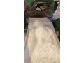 high-purity-fast-delivery-28578-16-7-pmk-ethyl-glycidate-28578-16-7-pmk-powder-28578-16-7-small-0