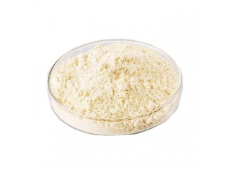 31138-65-5 C7H15NaO8 Powder Industrial Grade 99% Purity SODIUM GLUCOHEPTONATE Gluco Heptonic Acid Sodium Salt