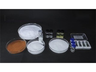 Food Additive Preservative Sodium Benzoate CAS NO 532-32-1 Sodium Benzoate