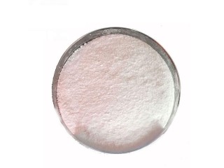 High quality Carbohydrazide CAS 497-18-7 99.9%min