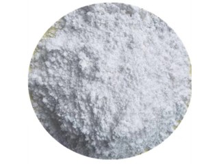 Distributor Trimethylamine Hydrochloride 98% TMA HCL 593-81-7