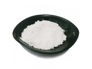 Wholesale CAS 97-59-6 hot sale Whitening ingredients allantoin powder with Cosmetic Grade Manufacturer & Supplier