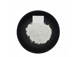 Wholesale 99% Spermidine Trihydrochloride CAS 334-50-9 Powder Spermidine Trihydrochloride