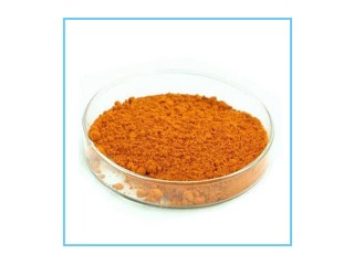 Low Price Natural Organic Pure Turmeric Extract Powder 95% Curcumin