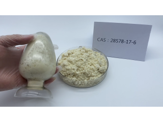 China Gold supplier Organic Intermediate New P Powder CAS 28578-16-7 In Stock with Safe  Delivery Factory supply