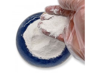 Wholesale best price Organic intermediate trypsin powder 4-Methoxybenzoic Acid powder CAS 100-09-4 99% Anisic acid