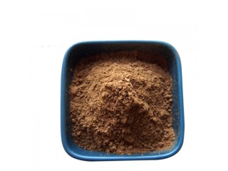 Laminaria japonicia Extract Phlorotannins 5% CAS 3351-86-8 Phlorotannins Powder