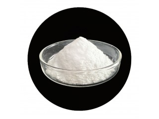 Purified Terephthalic Acid  99.9% min CAS 100210 made for polyester MF C8H6O4