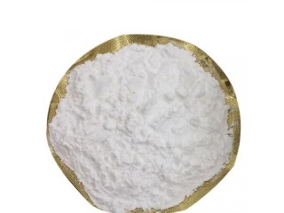Hot Selling GPC Powder Powder Syntheses Material Intermediates 99.9% Choline Glycerophosphate CAS 28319-77-9 White 2 Years 99% /