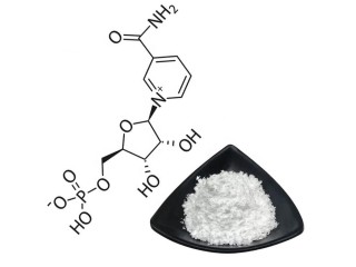 Wholesale Bulk CAS No. 1094-61-7 Beta NMN Nicotinamide Mononucleotide Pure 99% NMN Powder