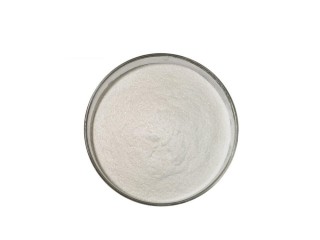 Best Price CAS NO 541-15-1 L- Carnitine Powder L Carnitine Slimming Powder