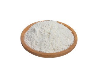 Food grade additive Locust Bean Gum CAS 532-32-1 bulk locust bean gum powder