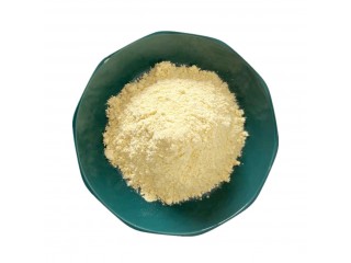 High quality yellow powder made in China Tannic Acid CAS 1401-55-4 with fast delivery