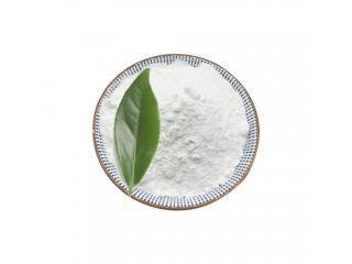 Hot sale new  P Powder and Oil CAS 28578-16-7 with best price and free sample
