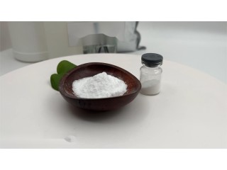 Ambroxol Hydrochloride/Ambroxol HCl Powder CAS 23828-92-4