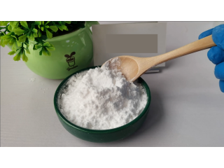 High Purity Salicylic Acid Powder CAS  69-72-7