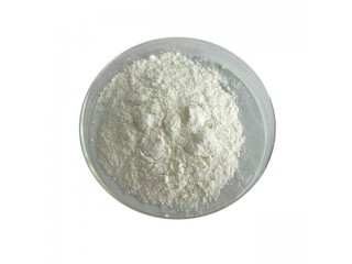 Factory Supply 9-Methyl-9H-Beta-Carboline CAS 2521-07-5 9-Me-Bc Powder Nootropics
