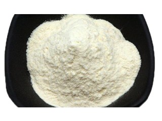 100 Pass Custom  N-METHYLBENZAMIDE CAS 613-93-4 with fast delivery