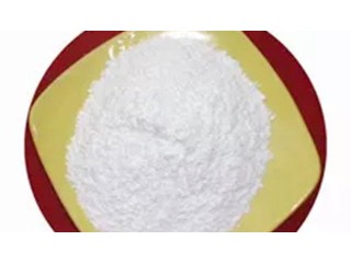 Hot Sale New Batch Ethyl Lauroyl Arginate HCl Powder CAS 60372-77-2 Manufacturer & Supplier