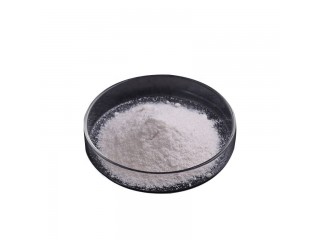 TMA HCL 98% Trimethyl Ammonium Chloride C3H9NHCl Cas No 593-81-7 Manufacturer & Supplier