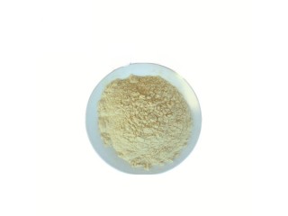 Sophora japonica Extract Quercetin CAS117-39-5 High Quality 98% Best price