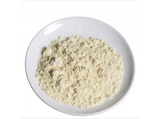 High Quality Food Grade Casein CAS 9000-71-9 With Large in Stock for Pick up