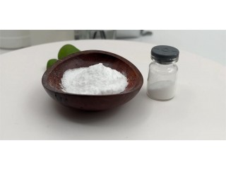 NAD CAS 53-84-9 beta-diphosphopyridine nucleotide Powder With Fast Delivery