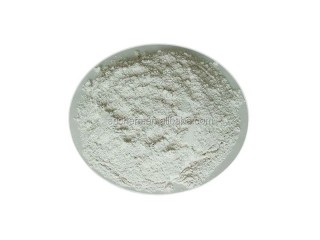 High quality intermediate 2-Cyano-3-Methylpyridine CAS 20970-75-6 Manufacturer & Supplier