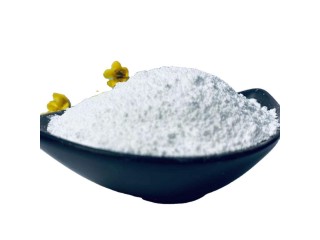 Organic intermediate Cosmetic grade 150-76-5 Mequinol powder