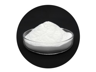 Chinese supply Dimethyl terephthalate CAS 120-61-6 Organic Acid
