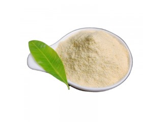 Factory outlet high quality  Tryptamine Powder CAS 61-54-1 with hidden delivery