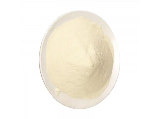 High quality Molecular Weight Xanthan Gum thickener food additives organic intermediate CAS  11138-66-2 in stock