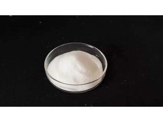 China 2022 Best Sale High Purity 99.9%min CAS 100-21-0 purified terephthalic acid Factory Directly Sale