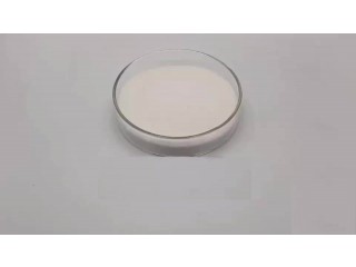 Manufacturer wholesale sodium antimonate for engineering plastic flame retardant 15432-85-6 Manufacturer & Supplier