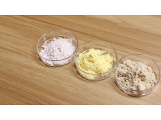 Food grade Alpha Lipoic Acid supplement 98% Alpha Lipoic Acid powder