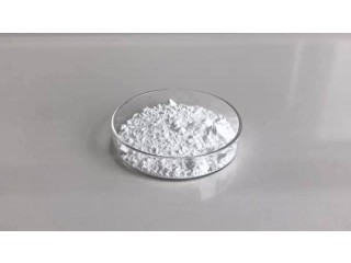 Factory Supply Favorable Price Nano Hydroxyapatite Powder
