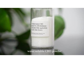 Pharmaceutical grade 99% 2,5-Dimethoxybenzaldehyde CAS 93-02-7 powder