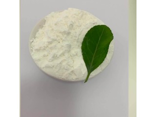 Organic Intermediate Chemical Material CAS 61-54-1 High Quality 99% Purity Tryptamine Powder Best Price