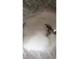 White Crystalline Powder 100% Customs Clearance Bactericide CHLOROXYLENOL PCMX cas 88-04-0 Manufacturer & Supplier