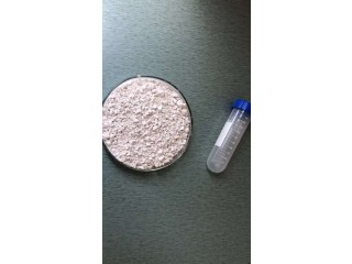 High quality Caprolactam CAS 105-60-2 powder