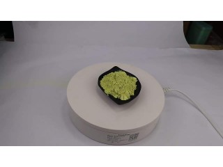 China Supply Sophora Japonica Extract Bioflavonoid Rutin CAS 153-18-4
