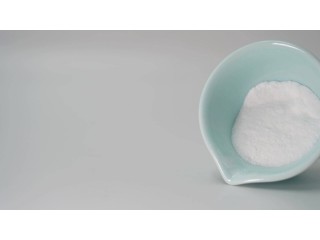 Trimethylamine HCl Factory Price CAS 593-81-7 Powder Manufacturers CAS 593-81-7