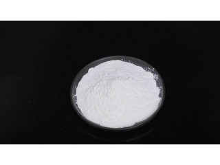 High Purity Fine Chemicals L-Carnosine CAS NO 305-84-0