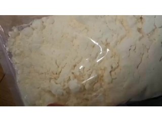 High quality Chitosan CAS 9012-76-4 with free sample