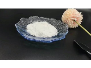 5451-09-2 cas white Powder 5-Aminolevulinic acid hydrochloride